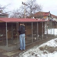 Аватар