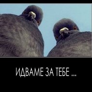 Аватар