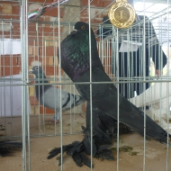 Аватар