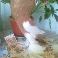 Аватар
