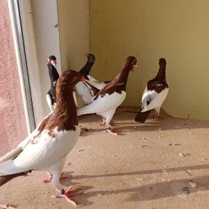 Снимка