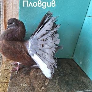 Снимка
