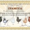 гълъб