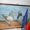 гълъб