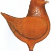 гълъб