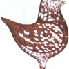 гълъб