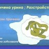 гълъб