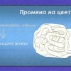 гълъб