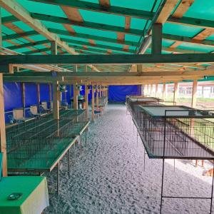 Разгледай галерията