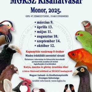 Разгледай галерията
