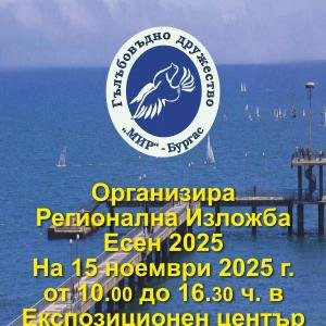 Разгледай галерията