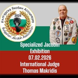 Разгледай галерията