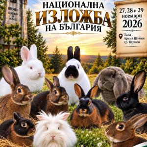 гълъб