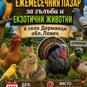 Разгледай галерията