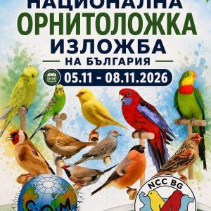 гълъб