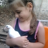 гълъб