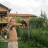 гълъб