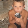 гълъб