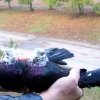 гълъб