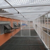 гълъб