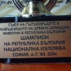 гълъб