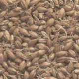 Снимка на гълъб