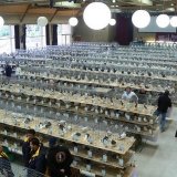 Снимка на гълъб