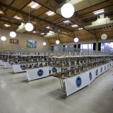 Снимка на гълъб