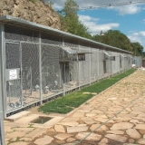 Снимка на гълъб