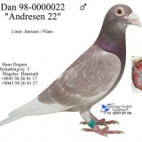 Снимка на гълъб