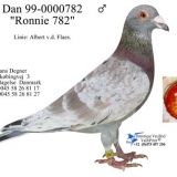 Снимка на гълъб