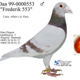 Снимка на гълъб