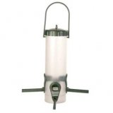 Снимка на гълъб