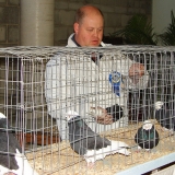 Снимка на гълъб