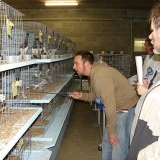 Снимка на гълъб