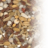 Снимка на гълъб