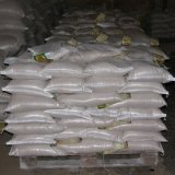 Снимка на гълъб