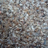 Снимка на гълъб