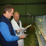 Снимка на гълъб