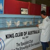 Снимка на гълъб