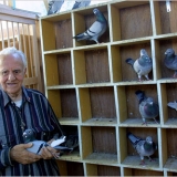 Снимка на гълъб