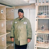 Снимка на гълъб