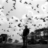 Снимка на гълъб