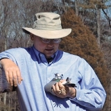 Снимка на гълъб