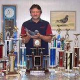 Снимка на гълъб