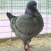 Снимка на новина