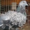 Снимка на новина