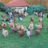 Снимка на новина
