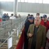 Снимка на новина