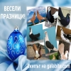 Снимка на новина